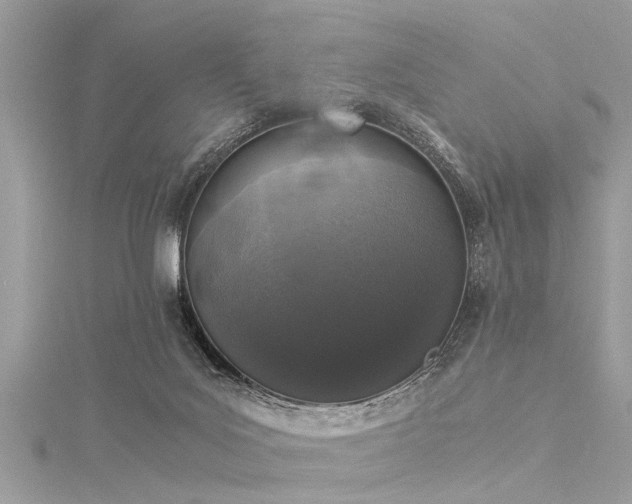 X0000116020027200911201243