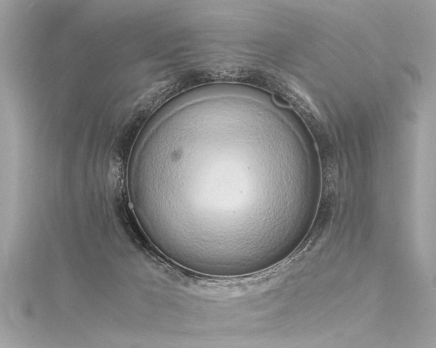 X0000116020029200911201243