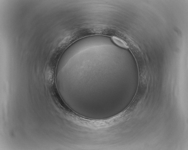 X0000116020031200911201243