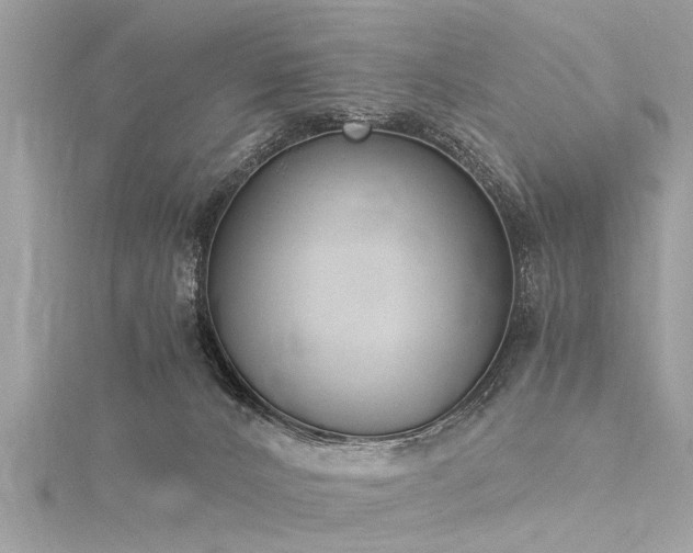 X0000116020032200911201243