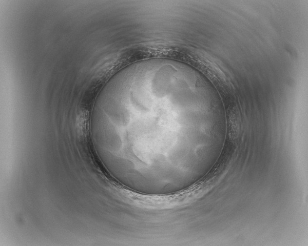 X0000116020034200911201243