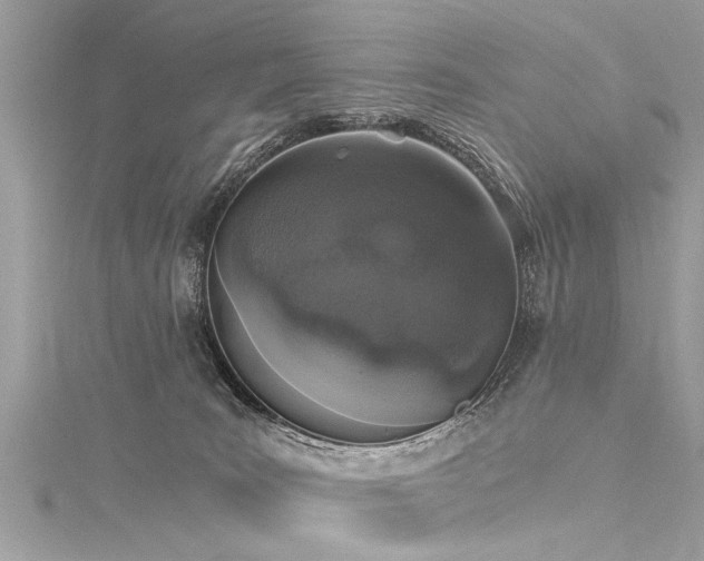 X0000116020035200911201243