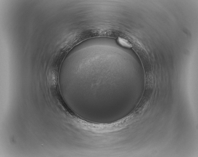 X0000116020039200911201243