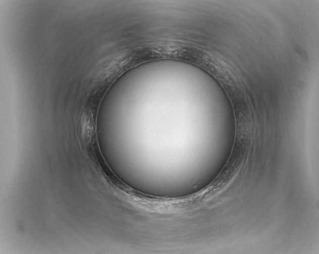 X0000116020040200911201243