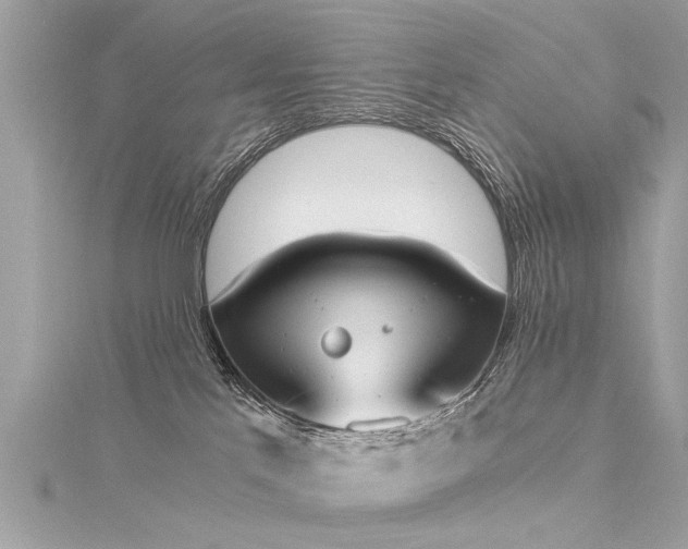 X0000116020041200911201243