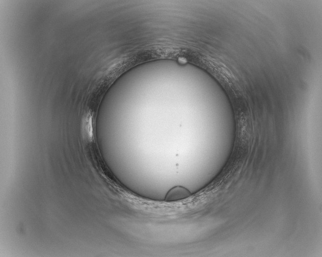 X0000116020042200911201243