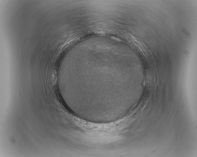 X0000116020043200911201243