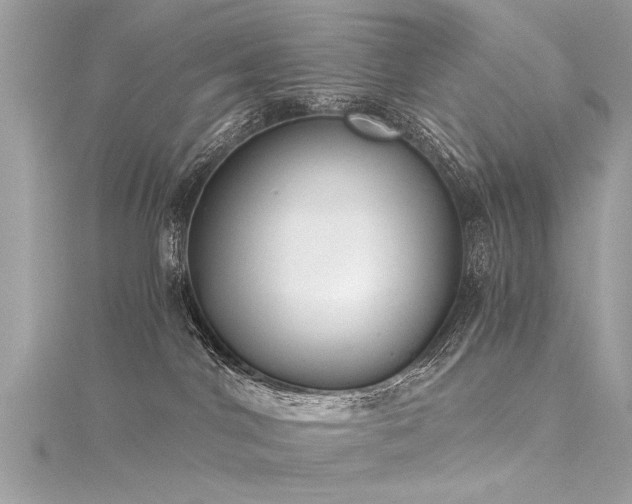 X0000116020044200911201243