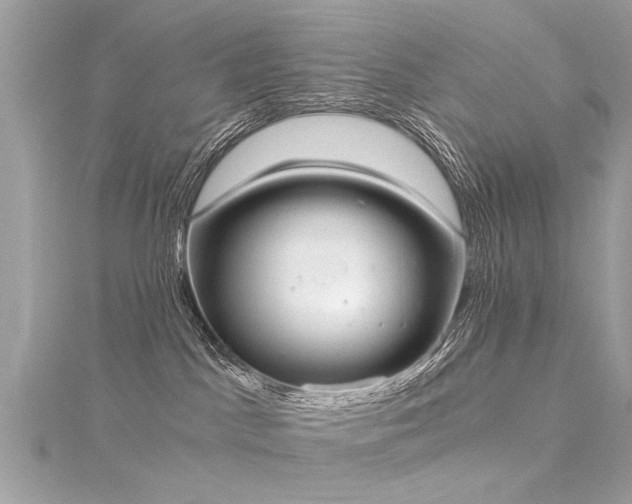 X0000116020045200911201243