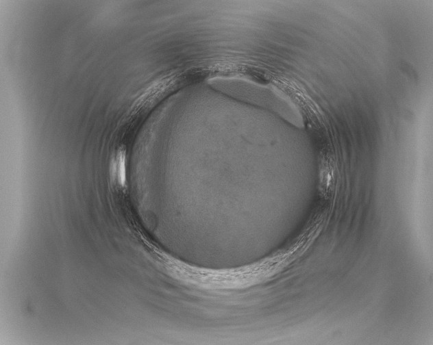 X0000116020046200911201243