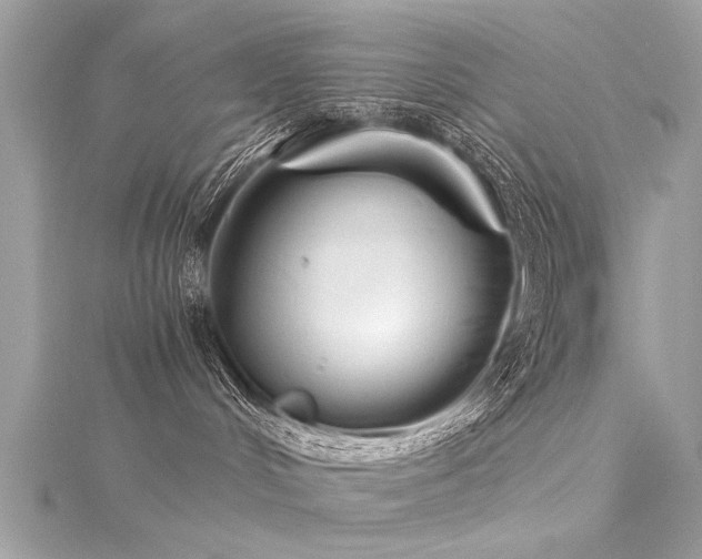 X0000116020048200911201243