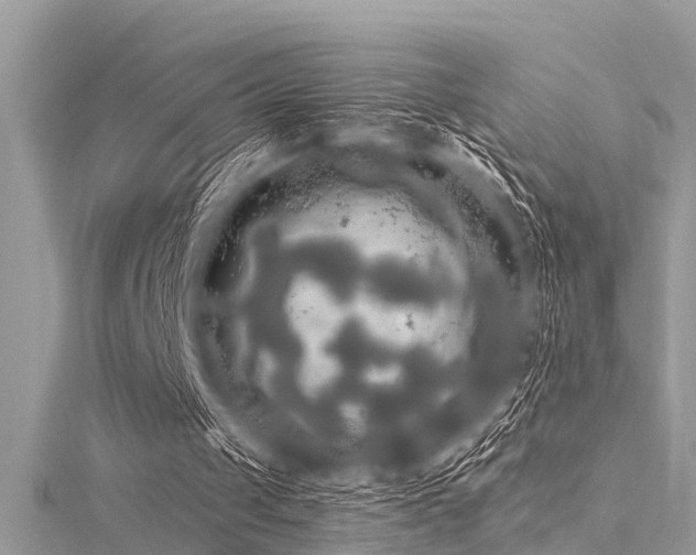 X0000116020049200911201243