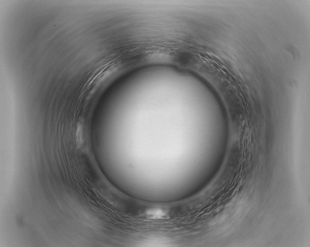 X0000116020050200911201243