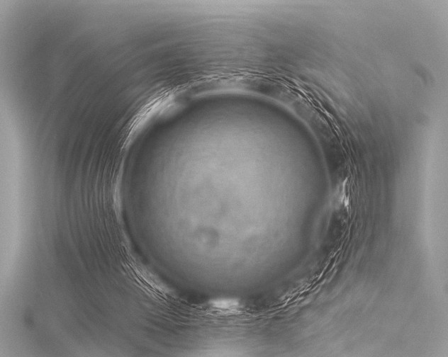 X0000116020052200911201243