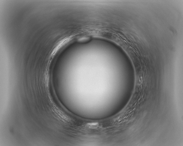 X0000116020054200911201243