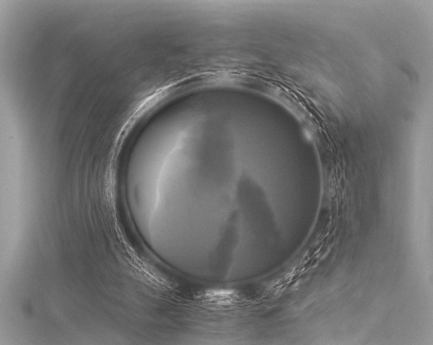 X0000116020055200911201243