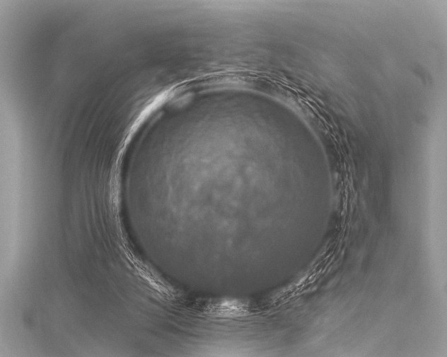 X0000116020056200911201243