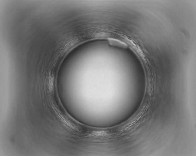 X0000116020057200911201243