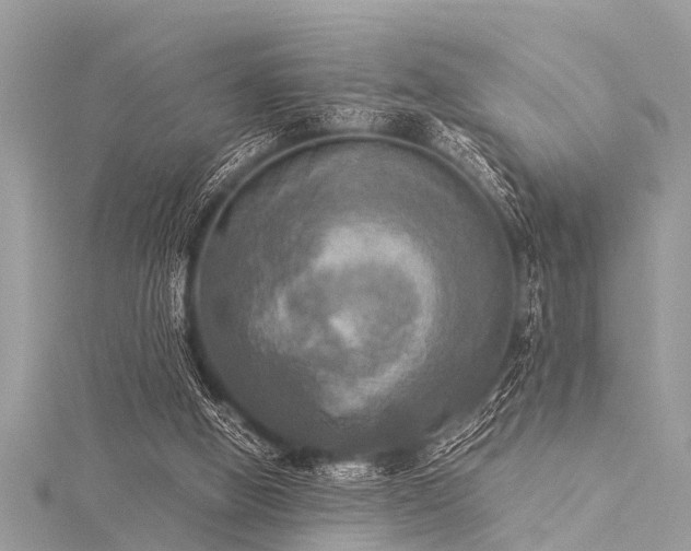 X0000116020058200911201243