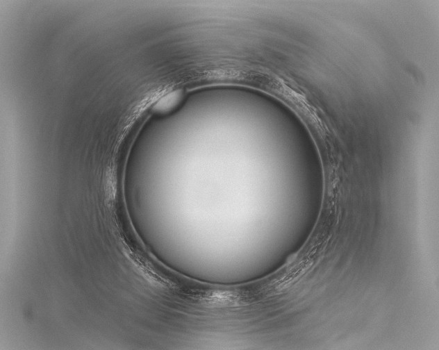 X0000116020060200911201243