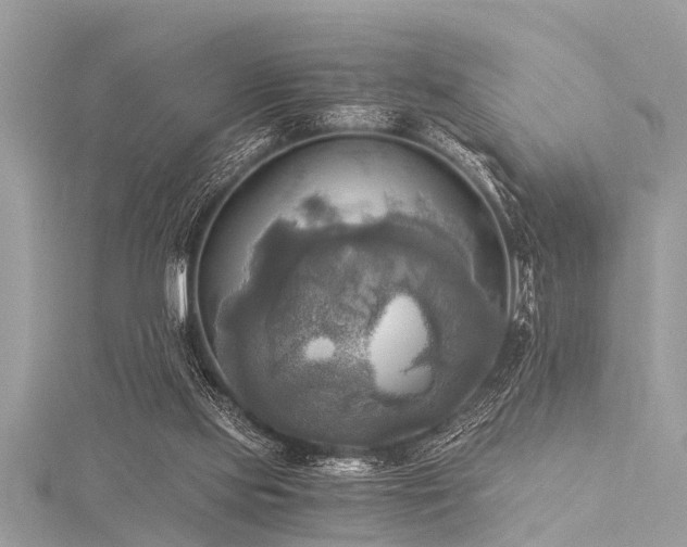 X0000116020061200911201243