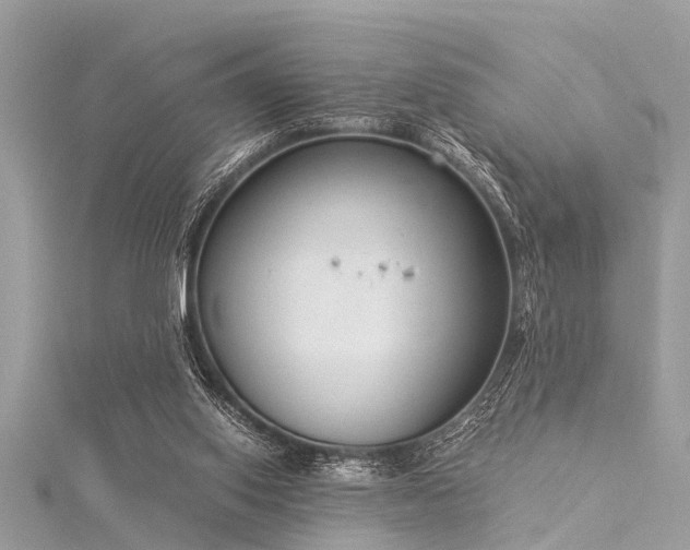 X0000116020062200911201243