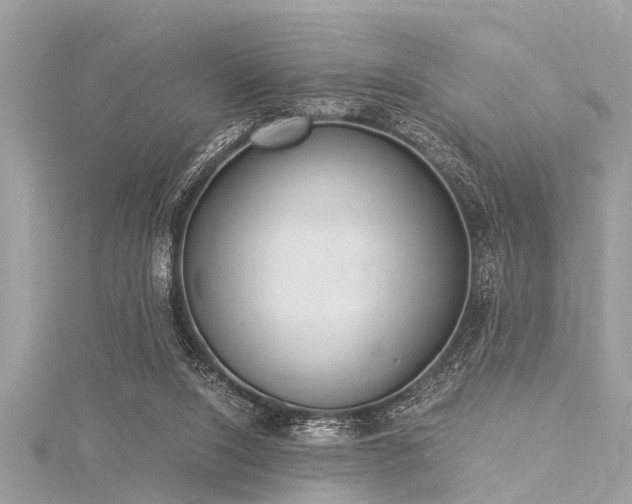 X0000116020064200911201243