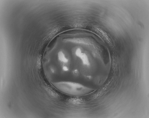 X0000116020065200911201243