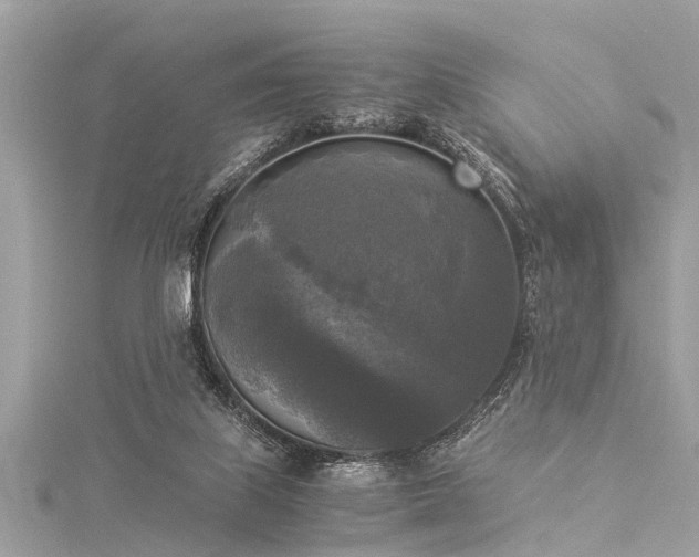 X0000116020067200911201243