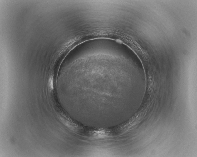 X0000116020068200911201243