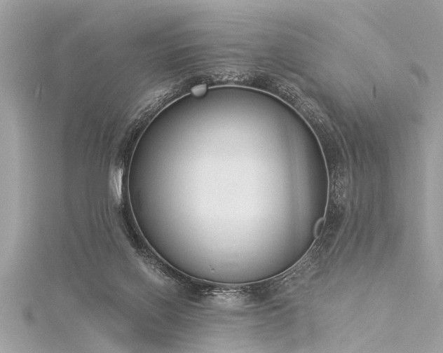 X0000116020070200911201243