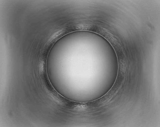 X0000116020071200911201243