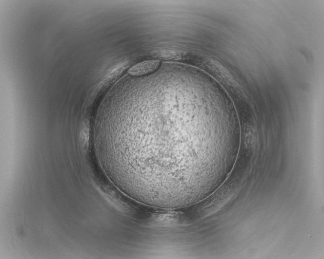 X0000116020072200911201243