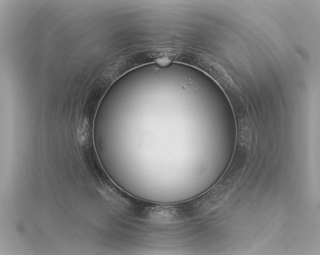 X0000116020077200911201243