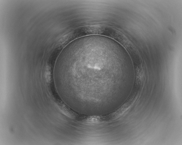 X0000116020080200911201243