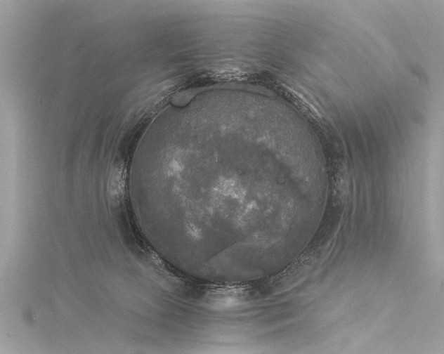 X0000116020081200911201243