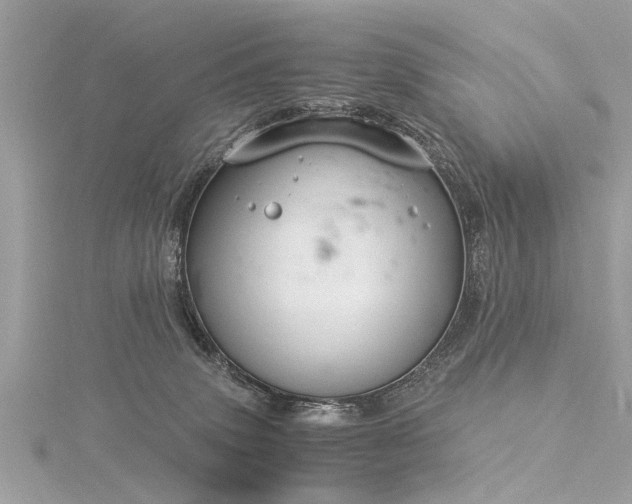 X0000116020083200911201243