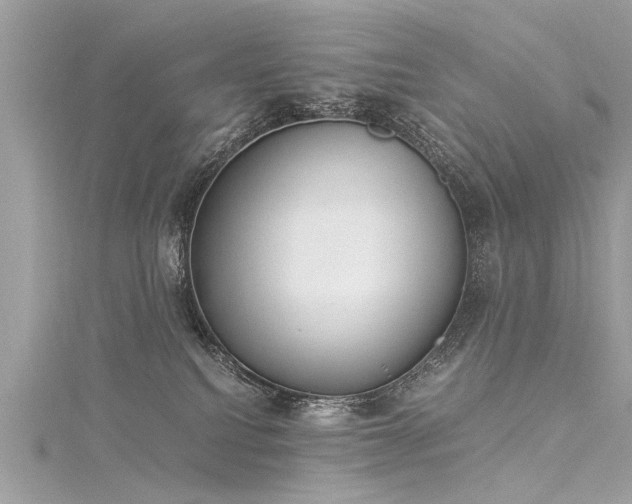 X0000116020088200911201243