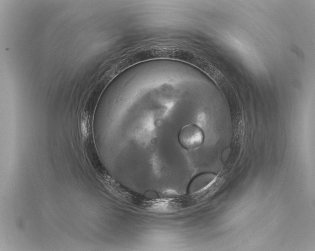 X0000116020090200911201243