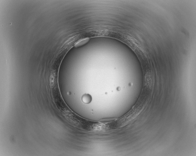 X0000116020092200911201243