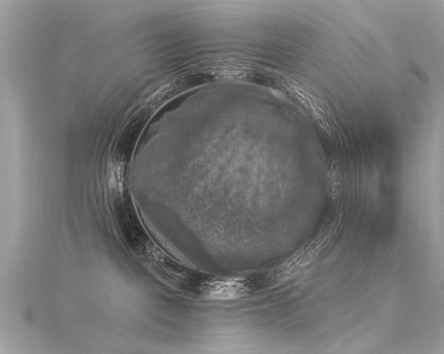 X0000116020093200911201243