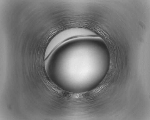 X0000116020096200911201243