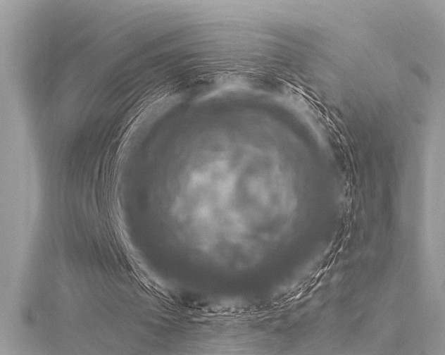 X0000116020097200911201242