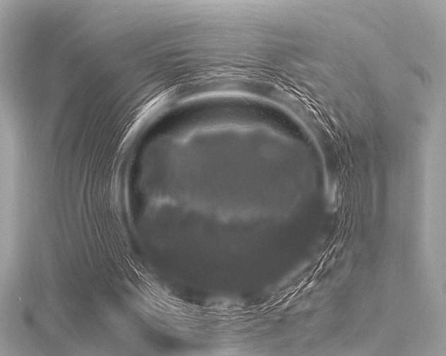 X0000116020099200911201242