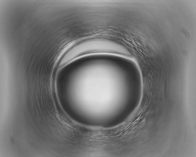 X0000116020100200911201242