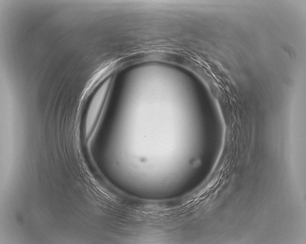 X0000116020101200911201242