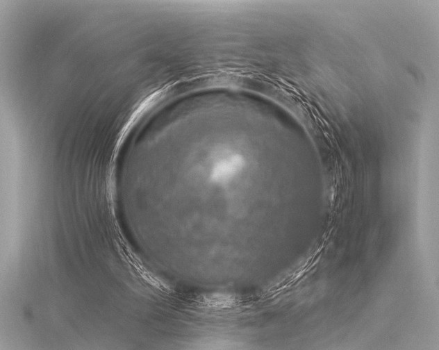 X0000116020102200911201242