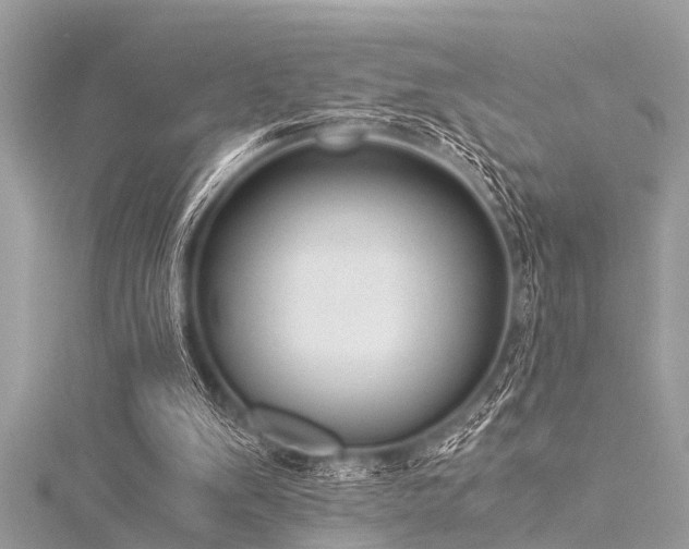 X0000116020103200911201242