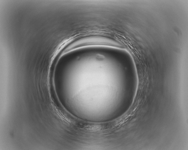 X0000116020104200911201242