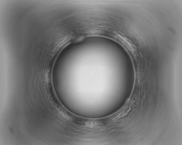 X0000116020105200911201242